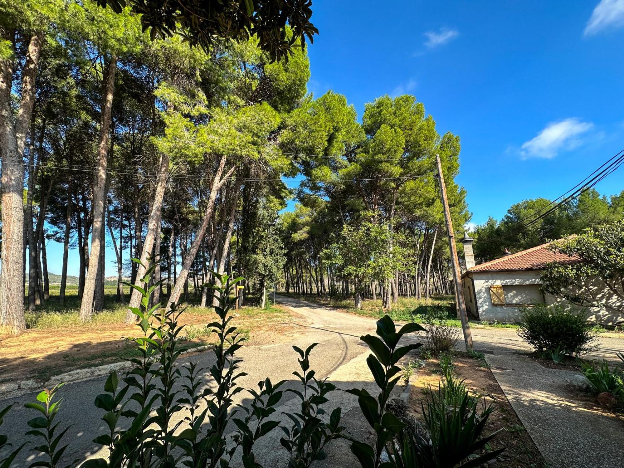 Casa Rural Los Pinos Valmuel Exterior foto