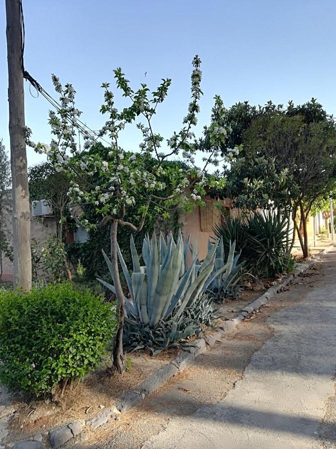 Casa Rural Los Pinos Valmuel Exterior foto